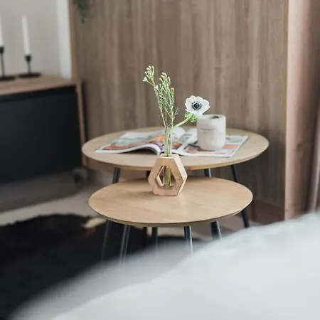 Downtown Penthouse *